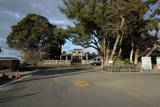 阿波 本庄城の写真