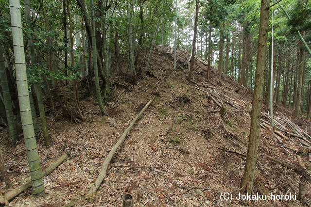 阿波 茨ヶ岡城の写真