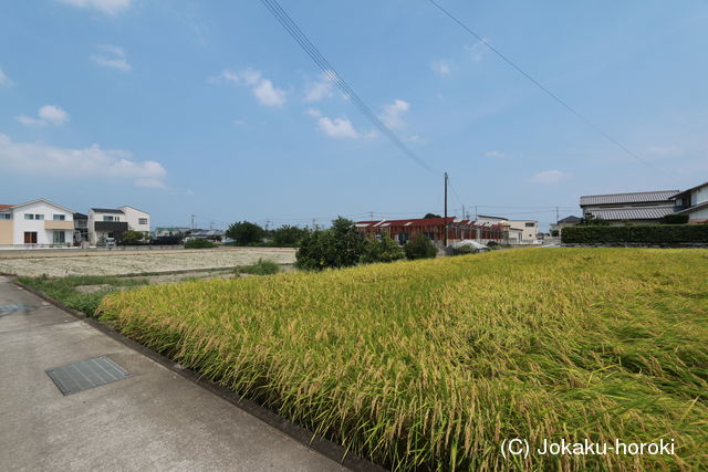 阿波 井戸城の写真