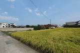 阿波 井戸城の写真