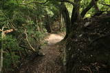 阿波 天神山城(井川町)の写真