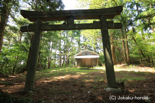 阿波 井内谷東城の写真