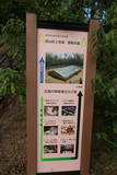 阿波 犬伏城(山城)の写真