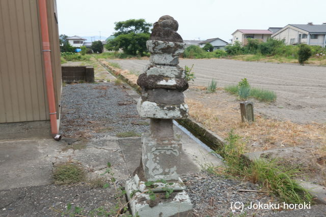 阿波 中島城(石井町)の写真