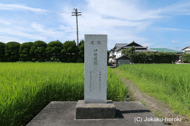 阿波 伊月城の写真