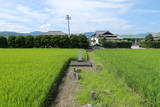 阿波 伊月城の写真
