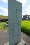 阿波 伊月城の写真