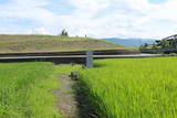 阿波 伊月城の写真