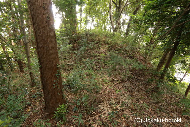 阿波 城ヶ丸城の写真