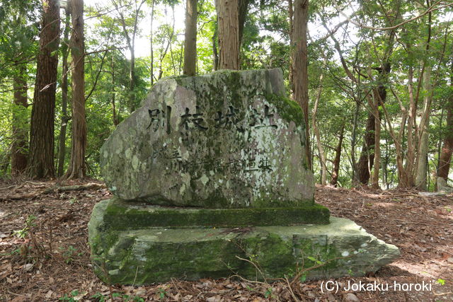 阿波 蔭城の写真