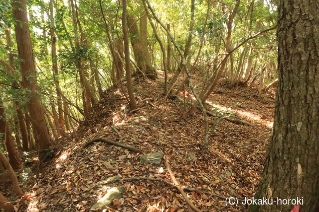 阿波 天神山城(山城町)の写真