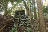 阿波 天神山城(山城町)の写真