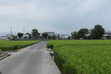 阿波 上浦城の写真