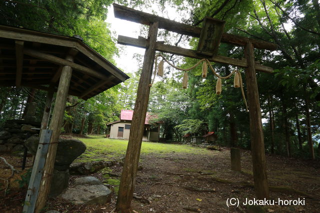 阿波 上山京地城の写真