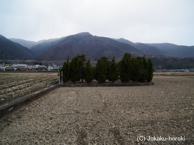 阿波 加茂野宮城の写真