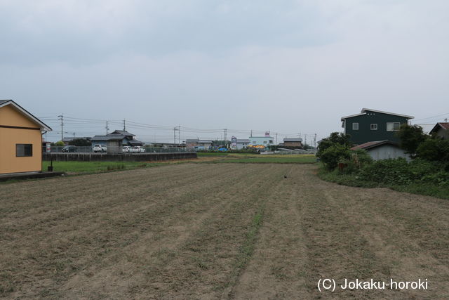 阿波 片の丸城の写真