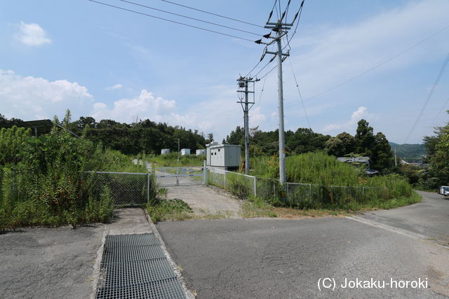 阿波 片山の塁の写真