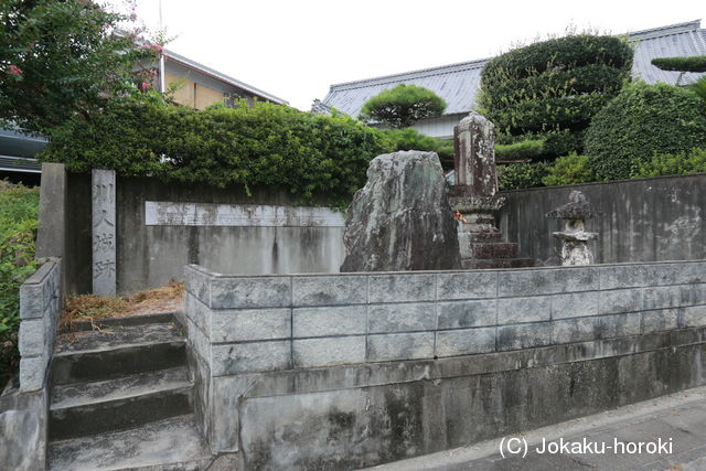 阿波 川人城の写真