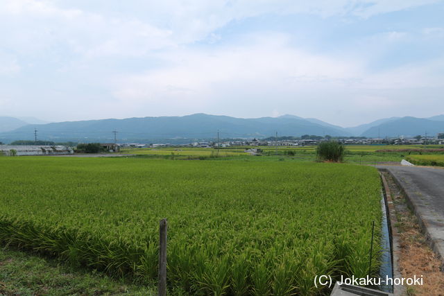 阿波 川久保城の写真