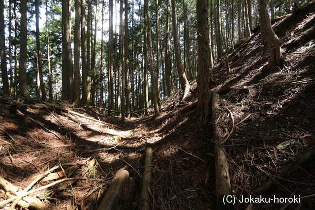 阿波 川崎城(池田町)の写真