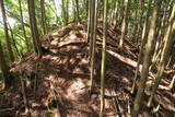 阿波 川崎城(池田町)の写真