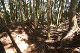 阿波 川崎城(池田町)の写真