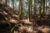 阿波 川崎城(池田町)の写真