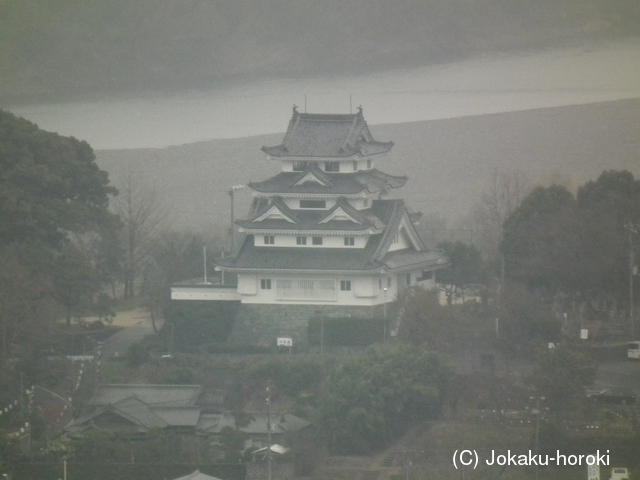 阿波 川島城の写真