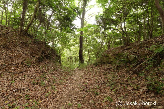 阿波 気延山城の写真