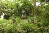 阿波 気延山城の写真