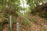 阿波 気延山城の写真