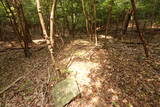阿波 気延山城の写真