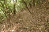 阿波 気延山城の写真