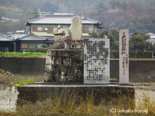 阿波 切幡城の写真