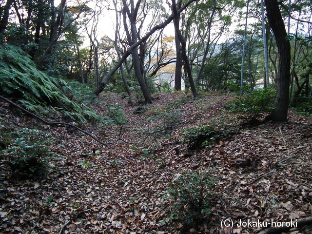 阿波 木津城の写真