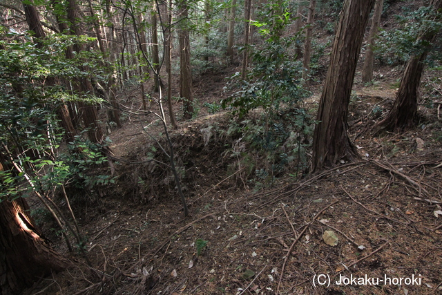 阿波 高原寺城の写真