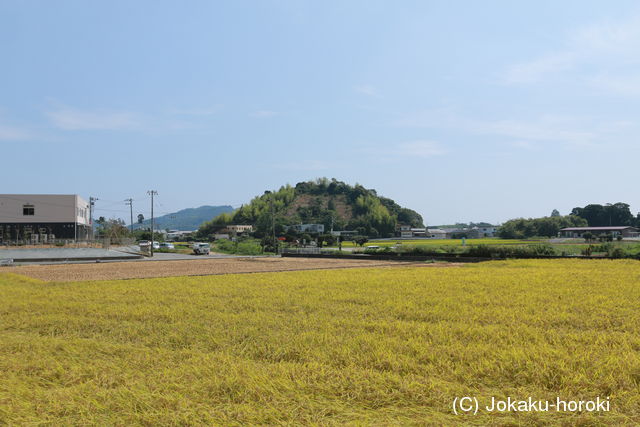 阿波 熊山城の写真