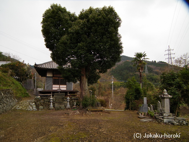 阿波 三谷城の写真