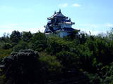 阿波 撫養城の写真