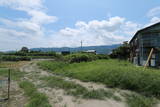 中島城(鴨島町)写真