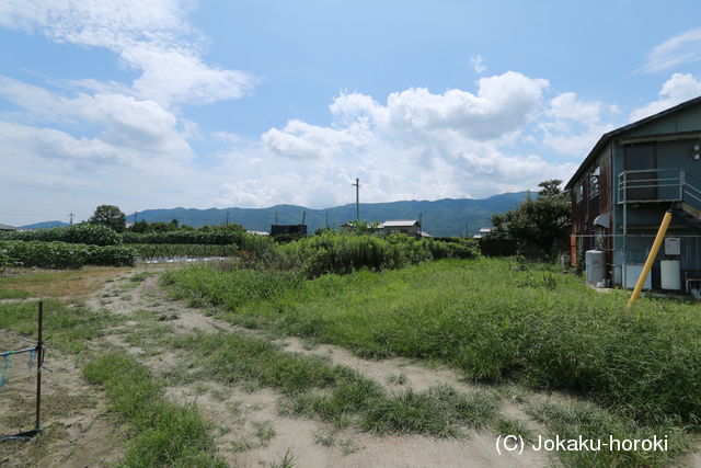 阿波 中島城(鴨島町)の写真