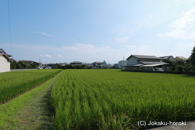 阿波 中村城の写真