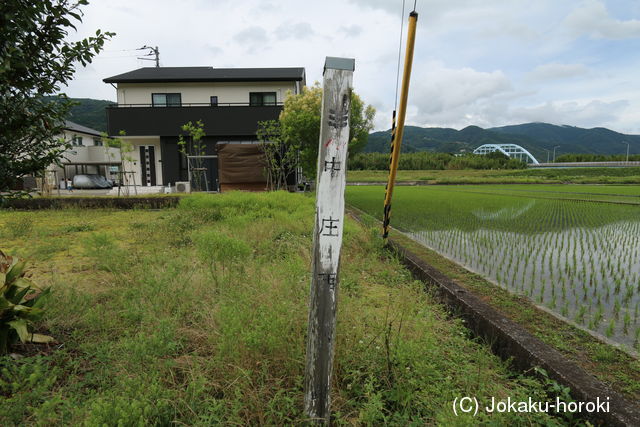 阿波 中庄城の写真