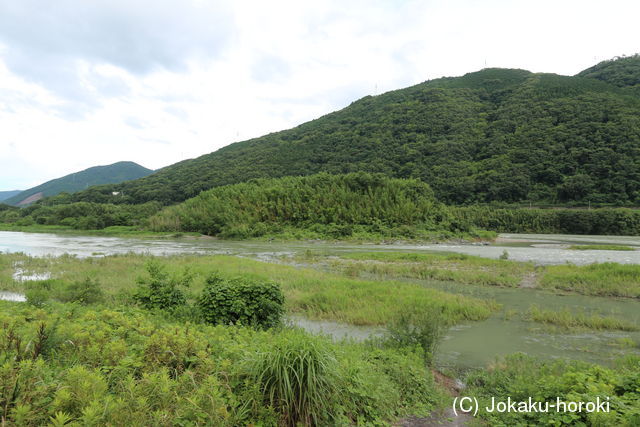 阿波 中鳥城の写真