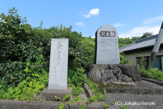 阿波 奈良坂城の写真