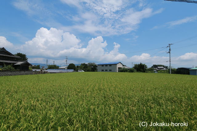 阿波 根井城の写真