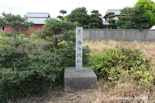 阿波 西分城の写真