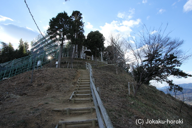 阿波 西方城の写真