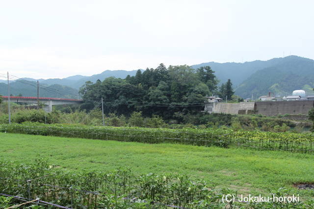 阿波 仁宇山城の写真