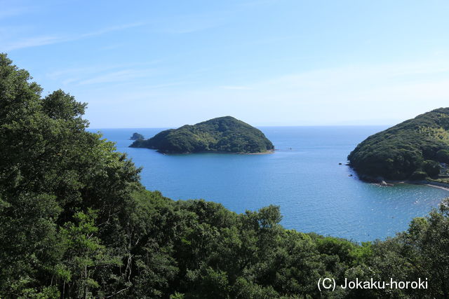 阿波 野々島城の写真